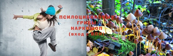 a pvp Армянск