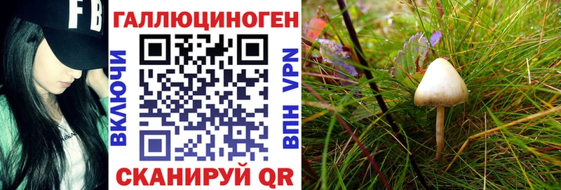 mega ONION  Кинель  Галлюциногенные грибы прущие грибы 