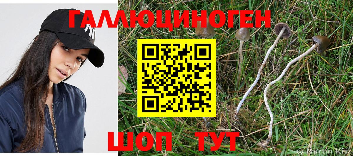 Кинель  Галлюциногенные грибы Magic Shrooms  Вход с VPN 