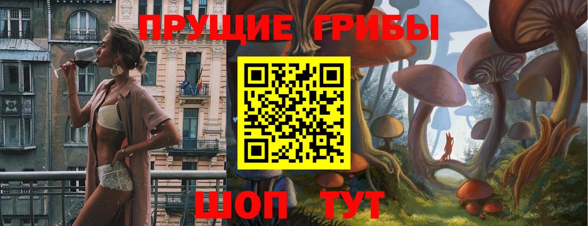 Галлюциногенные грибы GOLDEN TEACHER Кинель
