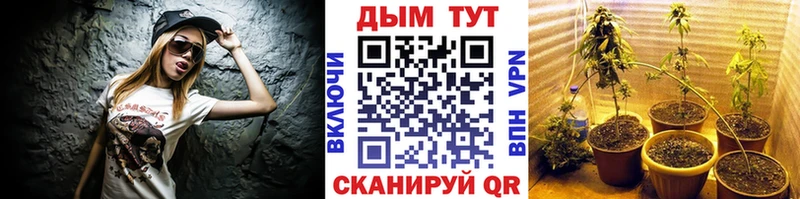 mega сайт  Кинель  Канабис White Widow 
